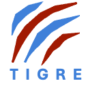 TIGRE Consulting, LLC logo